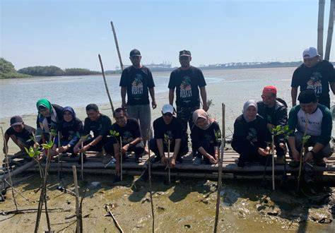 Sertifikat, penghargaan, tanda, atau dokumen yang dipajang di foto bugil di pantai seniman trigger samples Hari ini belajar formasi baru spesial