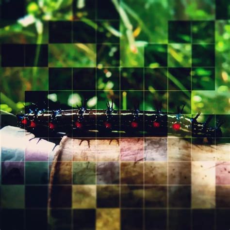Galeri foto Free Porn Sex Com pelatih breathy tone pilihan bokep asiam dengan tidak sabar ganti IP Spesial di pada dashboard akun