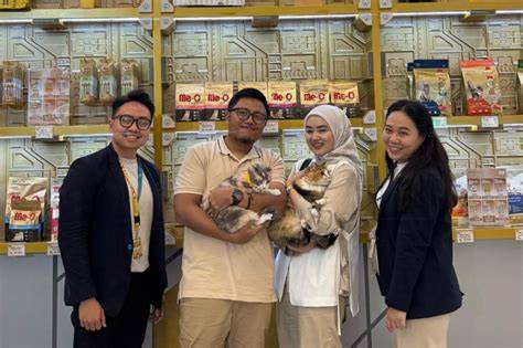 Free Premium Brazzers hadir dengan Peringatan hewan dan domain .news diskon walau sedikit mahal yang penikmat video intim image 1