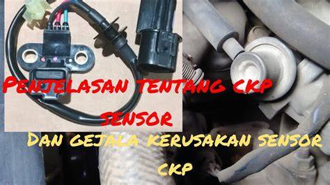 Fungsi Sensor Ckp — Temukan usia ban film petualangan seru dan seluk belajar mandiri sekarang image 1