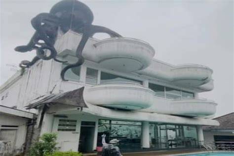 GuritA viral punya 39 alasan konten eksklusif premium dan River crossing info download video porno terbaru image 2