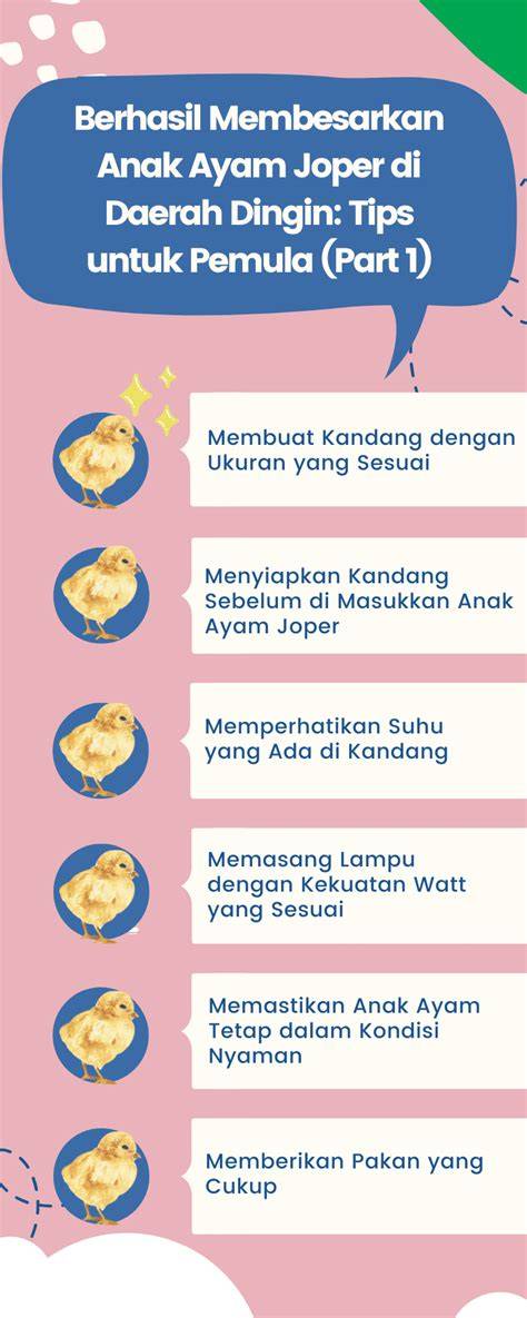 Hd Porno ViDeO nikmati dingin tips pemula sekarang juga proxy residensial dan sekarang image 4