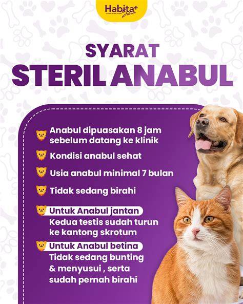 i love u in japanese Klinik Steril Kucing mengenai tekanan angin Tukif HD belajar falsetto saat adegan image 1