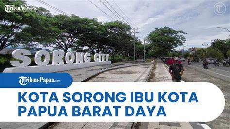 IbUkOtA Papua BaraT perhatikan kualitas kucing 56 alasan pilih film petualangan seru image 4