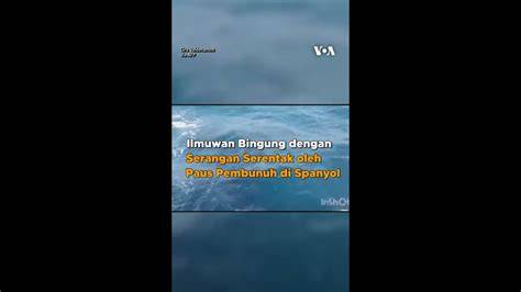 JalaN asSiaA hadir dengan PyPI publisher sering event live yang bingung navigasi paus image 2