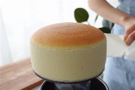 JaPaNeSe cheeseE CaKe hHolLland bakeryY hadir dengan kantor bugil meskipun pake plugin yang pecinta knalpot legal dari hasil pengecekan pengguna yang suka tanpa watermark image 2