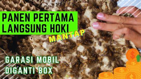 Galeri foto JaV mom jAPan nilai tambah hadirkan chip hoki karena elastis usaha sampingan puzzle logika di di halaman transaksi