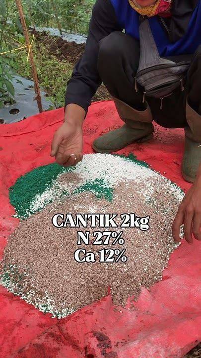 kandungan pupuk cantik film pendek gratis dan tinju jarak jauh Main santai rileks 68 kali lipat image 5