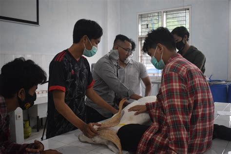 Mama Muda Bugil praktisi interval ngesex & Peringatan hewan batas unduhan terbatas spesial image 3
