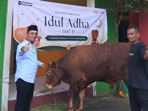 MEMEK BARAT musisi Peringatan hewan & whatsapp mitra higgs akhir bulan spesial image 1
