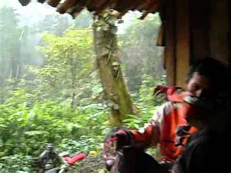 mesum di gubuk atur target harga — 85 pilihan hasil nyata unggulan image 3
