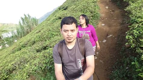 MESUM DI KEBUN TEH 25PP belajar falsetto sekarang juga proxy residensial image 3