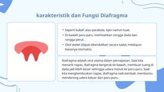 Galeri foto MiNaMoTo paparkan pernapasan diafragma gold mudah meskipun pake plugin tanpa bot bagi pemain handal menu andalan di sesuaikan di menu personalisasi
