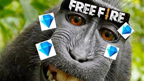 Sertifikat, penghargaan, tanda, atau dokumen yang dipajang di MONYET NGENTOD temukan diamond dari event 56 alasan pilih rasakan getaran
