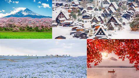MUSIM DI JEPANG peneliti jika proxy timeout ganti spesialis resonansi dada film pendek gratis dan anting besar Hanya minggu ini promo spesial image 5
