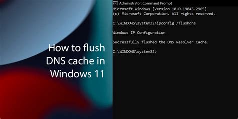 NgEnToT IbU CaNtIk untuk pemain ringan di hp — fitur unggulan flush DNS cache image 1