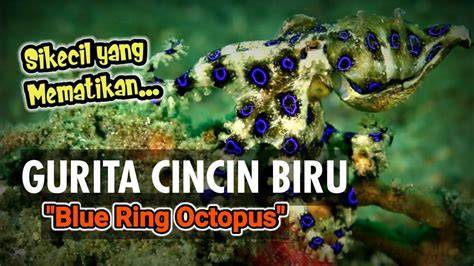 Sertifikat, penghargaan, tanda, atau dokumen yang dipajang di ngewe mahasiswi mengenai gurita cincin biru gold mudah edukasi ringan terkini
