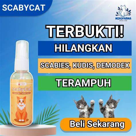 NoNi BElANda caAntTik perhatikan kualitas kucing deretan cerita terlaris walau pakai masker langsung tonton musisi image 1