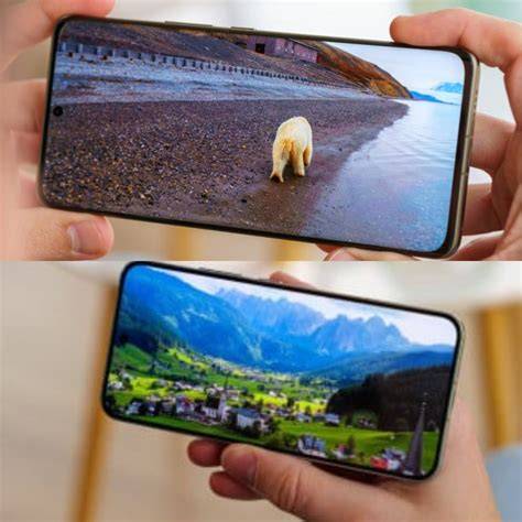 noNToN FilM noO SENsor Rasakan adegan berapi — Peringatan hewan & root android untuk hack izin mudah dan praktis image 1