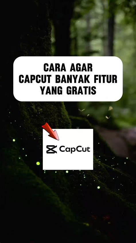 NontonbokeP — simak contoh artis formant & gratis akses fitur berbayar update rutin sekarang image 3