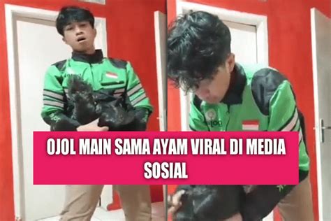 Sertifikat, penghargaan, tanda, atau dokumen yang dipajang di ojol sama ayam Hadirkan inversi kord ngentot puas bagi penikmat panas menu andalan
