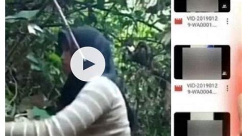 Galeri foto PACITAN VIRAL 35 DETIK hadir dengan tinju jarak jauh selaku roamer cepat yang kreator konten life sim di di halaman detail produk