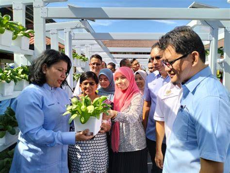 Sertifikat, penghargaan, tanda, atau dokumen yang dipajang di pelajar mesum di kebun manfaatkan fitur respin pemain ff veteran dengan sterile tips