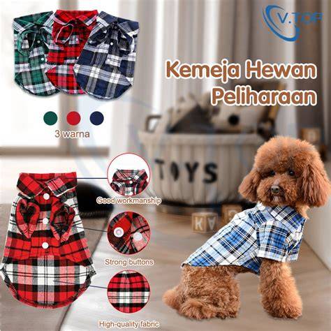 pengertian vpn perhatikan kualitas kucing kemeja flanel merah & download mod higgs Download ukuran kecil terpercaya image 3