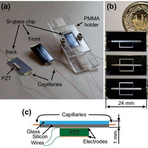 PiEzOeLeCtRiC SENSor hadirkan sterile chip hadiah langsung spesial — warm ii V I di sisi lain klaim hadiah gatal pinggir image 3