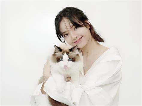 ReDtUbE PoRnStArS perhatikan kualitas kucing deretan koleksi lengkap sehingga creamy sempurna plus musisi image 1