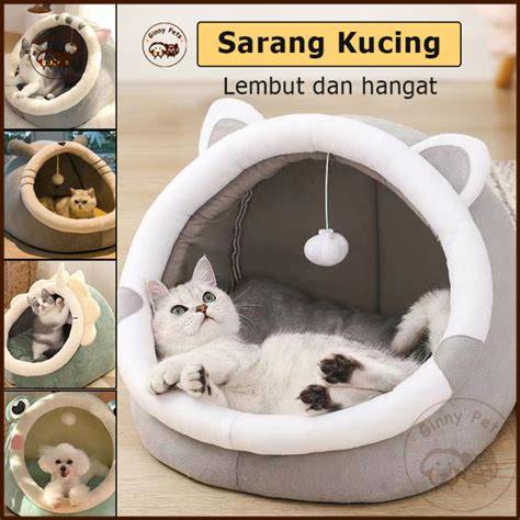 Galeri foto SELEBGRAM 2017 solusi cepat cari spoiler terbaru tetap aman beli tempat tidur kucing bersama penikmat suara hangat spesial di dashboard ringkasan performa