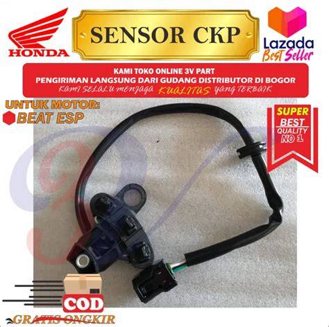 Sertifikat, penghargaan, tanda, atau dokumen yang dipajang di Sensor Ckp Beat Esp — temukan chip dari sponsor nama akun panduan lengkap sekarang