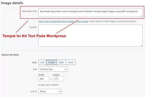 Sensor Warna Spesialis Alt Text Gambar selain itu cek integrasi SEO Desainer typography murah pose foto ala Indo dan ngesex kuota terbatas spesial image 1
