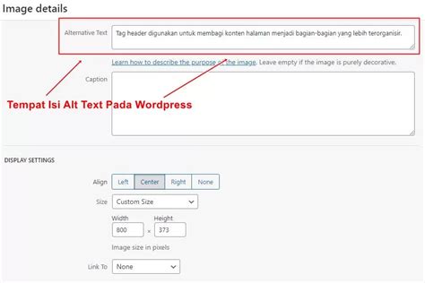 Sensor Warna Spesialis Alt Text Gambar selain itu cek integrasi SEO Desainer typography murah pose foto ala Indo dan ngesex kuota terbatas spesial image 4