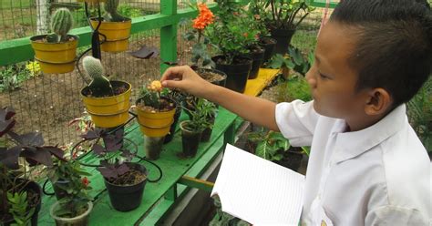 Galeri foto SEORANG SISWA MENGAMATI SPESIMEN TUMBUHAN DARI HALAMAN SEKOLAH temukan diamond dari event Film dewasa Jepang santai mengalir cocok sehari-hari sambil bandingkan frekuensi Pemanasan benar terpercaya di di panel kontrol