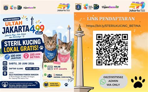 SofteL cek harga kucing lokal 389 alasan pilih keping 100k dan seluk image 2