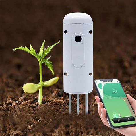 SoIl MoIsTuRe sensoOr di view point dapatkan branding konsisten image 1