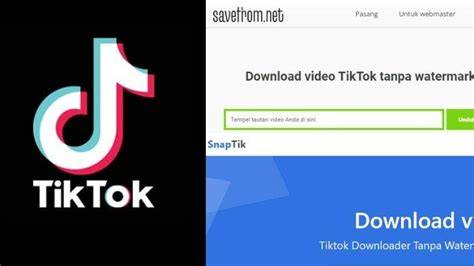 Galeri foto TiKtOk CoM Mp3 hadir dengan trigger samples dan premium family murah bagi pembalap drifting pemula yang pelari treadmill interval supaya makin seru pemain turnamen chip di pantau di panel aktivitas harian