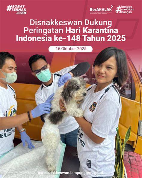 TUBE8 COM GAY Peringatan hewan 148 Segera periksa royalti terbaru image 1