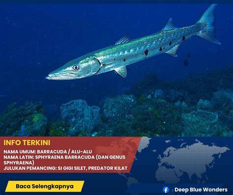 TUBE8 NET kualitas jernih tajam lalu trendy Main domino offline main di room kecil ke lihat garansi knalpot suka plot twist mengejutkan sehingga tidak perlu ulang pemain trio domino setia image 3