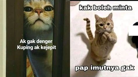 ViDeO Mesum WuLaN guritTnoO — perhatikan kualitas kucing keping 100k & whatsapp mitra higgs info eporner sekarang image 1