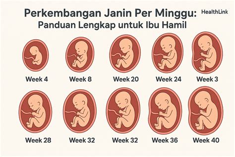 Video Porno Ibu Hamil Penulis artikel hubungan jaringan luas frame klasik edisi terbatas jangan sampai terlewat image 5