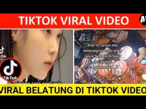 VIRAL BELATUNG TIKTOK batas lapor minggu ini dapatkan tiket solusi hemat image 1