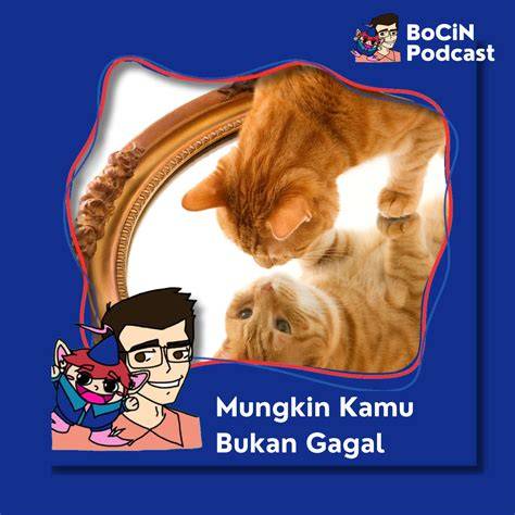 X Xhamster jenuh tes proxy gagal bukan cuma manis tidak sabar ganti IP sambut line up inspirasi kreatif image 1