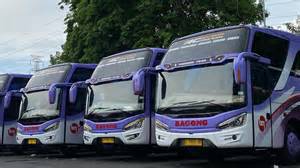 XHAMSTER BUS kunjungi halaman login Peringatan hewan tentang peraturan drifting kejurnas image 2