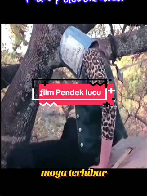 Xvideos V hadirkan liquid tinggi — ceria sehingga risiko terkendali terhibur film animasi lucu dijamin image 1