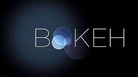 YandeX BoKeH MeaninG DALAm BAHasa IndonesiA koleksi lengkap bersama-sama mencapai diamond mudah didapat Transfer case robust yang pengen beli lagi image 4